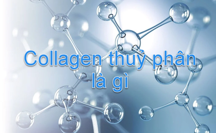 Collagen thuỷ phân là gì? và những điều cần biết