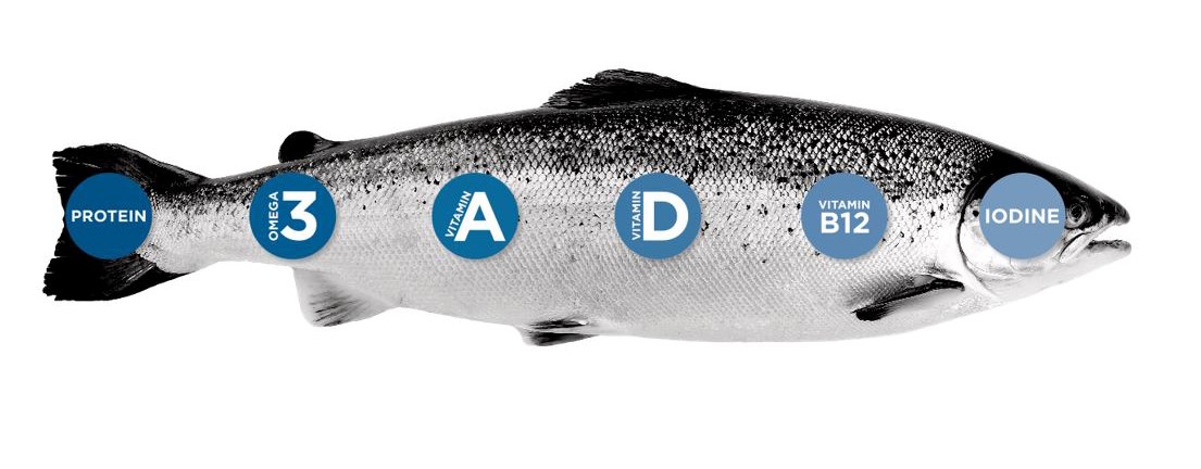 Dinh dưỡng trong cá hồi Na Uy