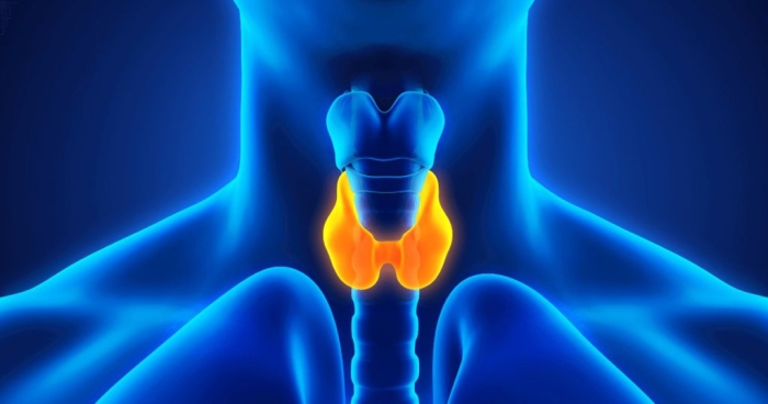 Tuyến giáp là gì? 1 số bệnh và nguyên ngân gay ra các bệnh về tuyến giáp?