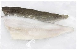 Phi Lê Cá Tuyết NaUy