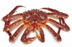 CUA HOÀNG ĐẾ NAUY