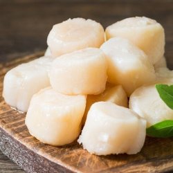 Sò Điệp Nhật Nhập Khẩu